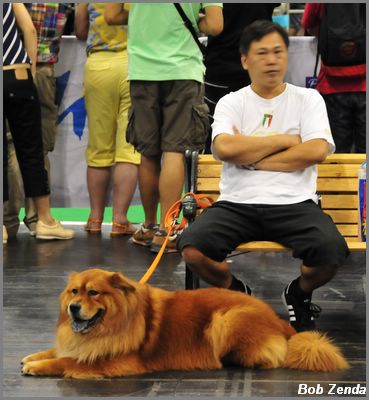 Taking a break at the show